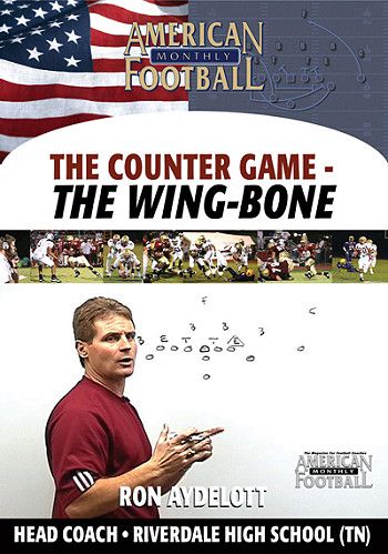 Wing-Bone: The Counter Game by Ron Aydelott
